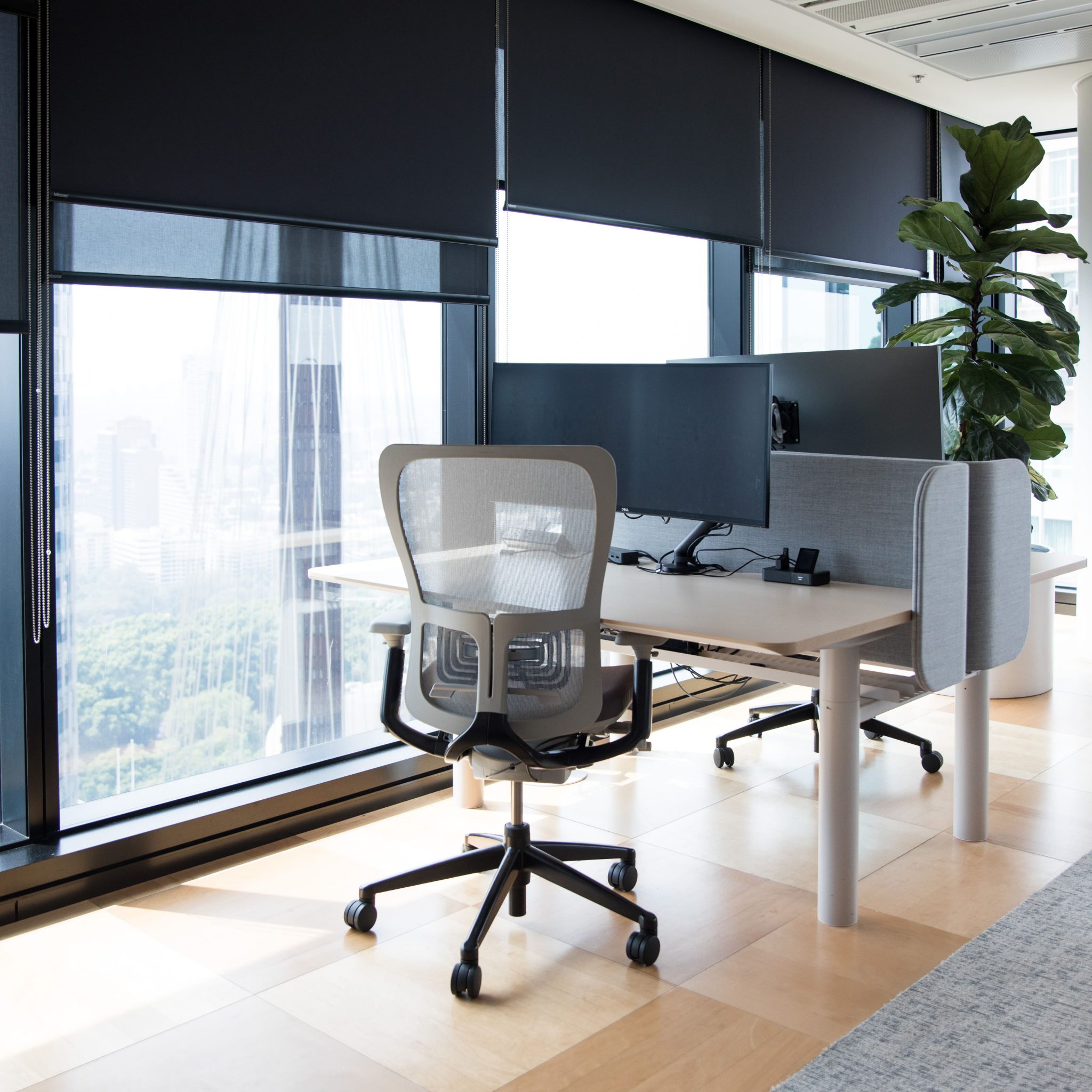 modern-office-fitout-interior-in-a-commercial-buil-GNJ6R8C